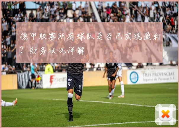 德甲联赛所有球队是否已实现盈利？财务状况详解