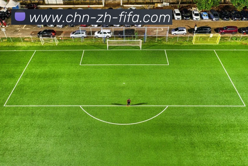 世界杯买球平台生态图