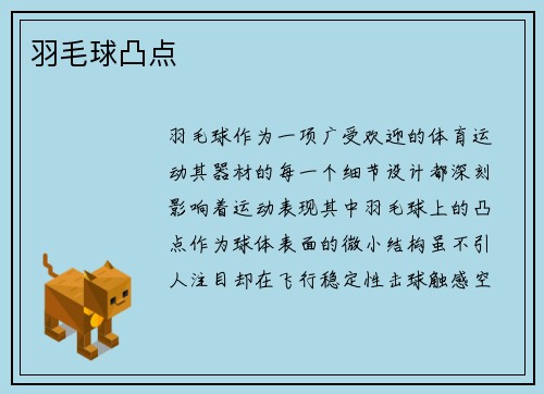 羽毛球凸点